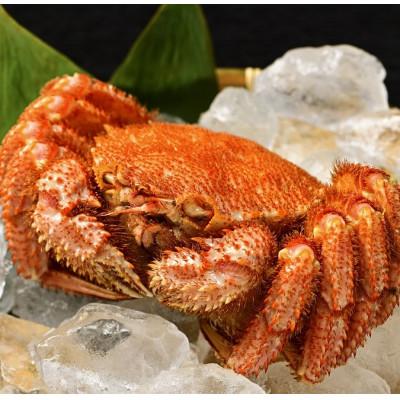 ふるさと納税 池田町 【冷凍】北海道産活ゆで毛蟹(LL)2尾で計1500g以上 |  | 01