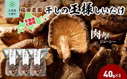 干しの王様しいたけ 40g×3袋 【 ふるさと納税 人気 おすすめ ランキング しいたけ 王様 王様しいたけ 干しの王様しいたけ シイタケ 椎茸 北海道 七飯町 送料無料 】 NAT008