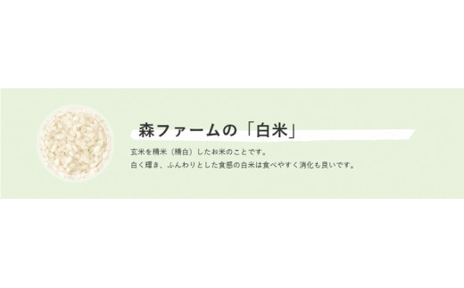 スプリングライス こしひかり (白米)10kg ※着日指定不可 | 米 こめ コメ 10キロ 精米 白米 こしひかり コシヒカリ 古河市産 茨城県産 取り寄せ お取り寄せ ギフト 贈答 贈り物 プレゼ