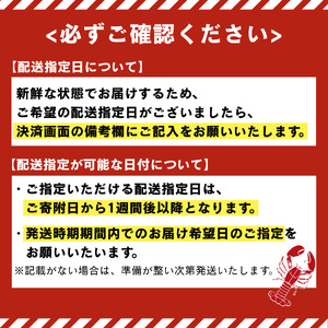 伊勢海老セット[C]　　【 伊勢海老 いせえび 】