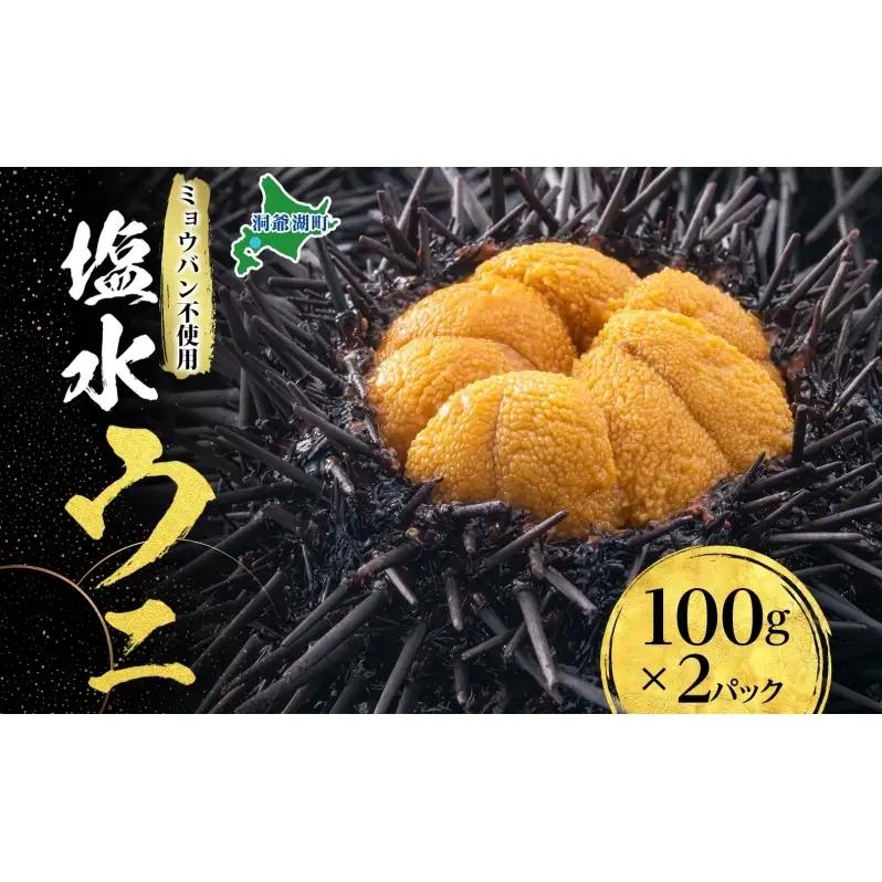 ウニ 塩水 海鮮 2パック ミョウバン不使用 ウニ