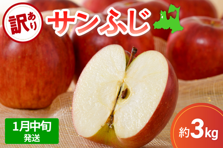 サンふじ　訳ありりんご約3kg【2026年1月中旬発送】青森りんご3kgringo五所川原サンフジリンゴ3kg