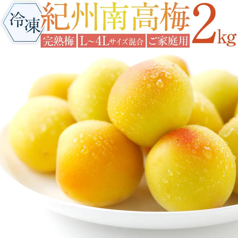 冷凍 紀州南高梅 完熟梅   約2kg   L～4Lサイズ混合 ご家庭用