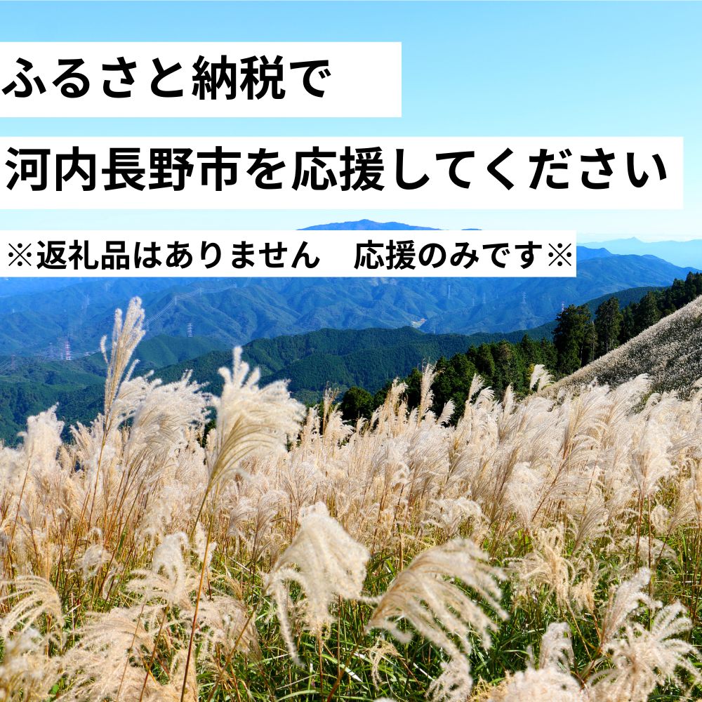 【ふるさと納税】【買い回り対象】河内長野市を応援してください！　大阪府河内長野市　応援寄付金　1000円　ふるさと納税（謝礼品なし）