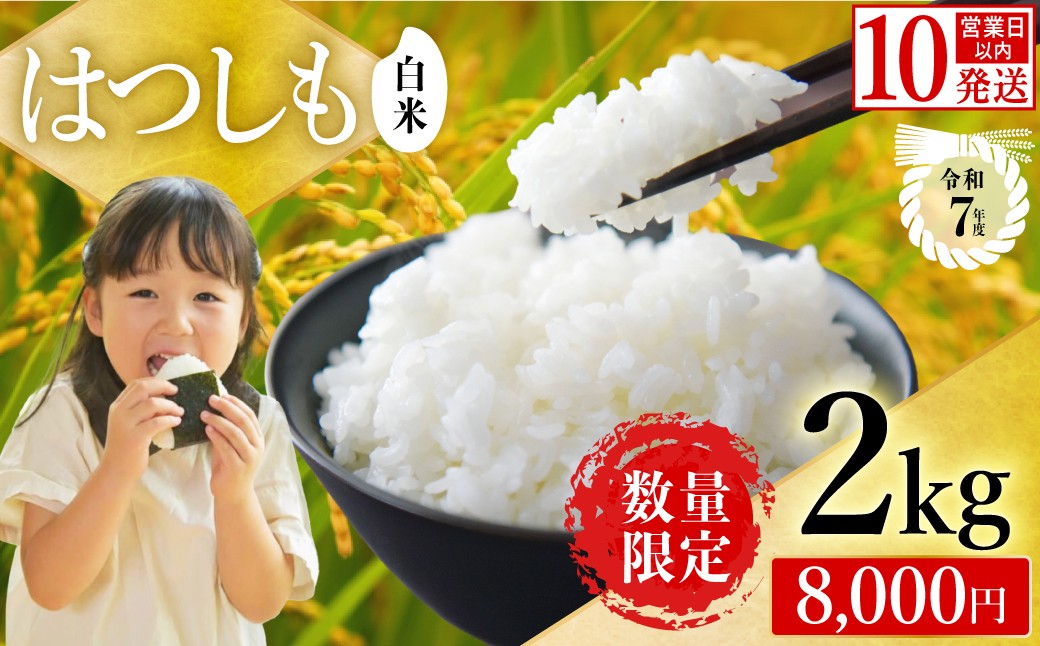 
                  【岐阜県代表品種】令和7年産 ハツシモ米 【白米】2kg（1kg×2袋） S19
                