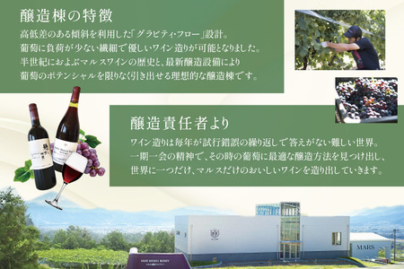 ワイン 赤 おまかせ マルスワイン 2本 セット ソムリエセレクト 日本ワイン ～秋の陣～