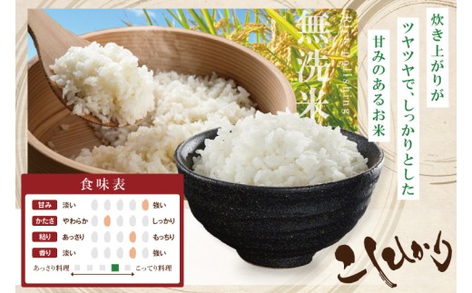 R8年産取手市産コシヒカリ 無洗米5kg|お米 米 こしひかり コシヒカリ 白米 無洗米 茨城県 取手市（BS005-R8）