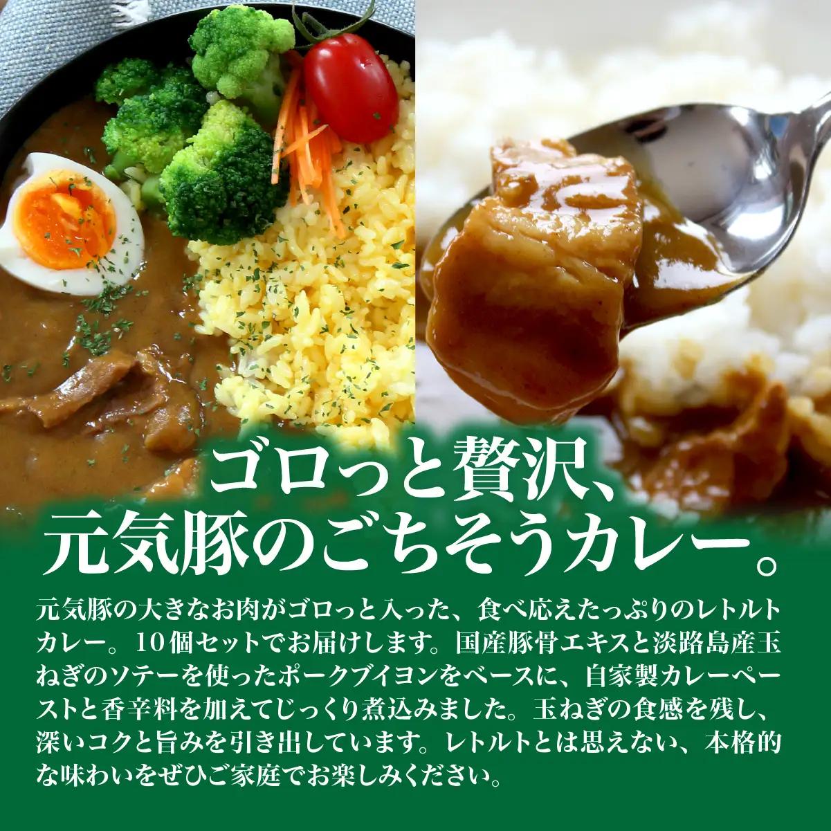 【千葉県産三元豚使用】元気豚 カレーセット　2kg(200g×10食分)_三元豚 カレー セット 千葉県産_【配送不可地域：離島・沖縄県】 TAKB013