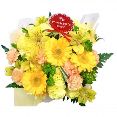 ふるさと納税 藤枝市 【母の日に!】カーネーションアレンジメント　イエロー系