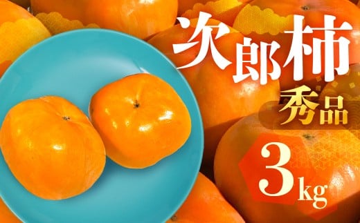 ≪2026年産 先行予約≫ 数量限定 生産量日本一 愛知県豊橋産 次郎柿 秀品 贈り物にも！ 3kg 柿 甘柿 果物 フルーツ 10月 11月 愛知県 豊橋市 ビタミンC 高栄養価 食物繊維 旬をおとどけ