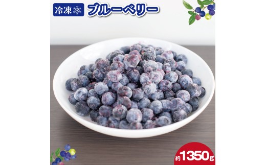 冷凍 ブルーベリー 約1350g フルーツ 国産 果物 大粒 甘い 糖度 ジャム ジュース ケーキ ゼリー スムージー ヨーグルト 洋菓子 お菓子 焼菓子 おやつ デザート スイーツ ポリフェノール アントシアニン 美容 健康 ギフト 贈答 プレゼント お取り寄せ グルメ 送料無料 徳島県 阿波市 AWABlueberryファーム