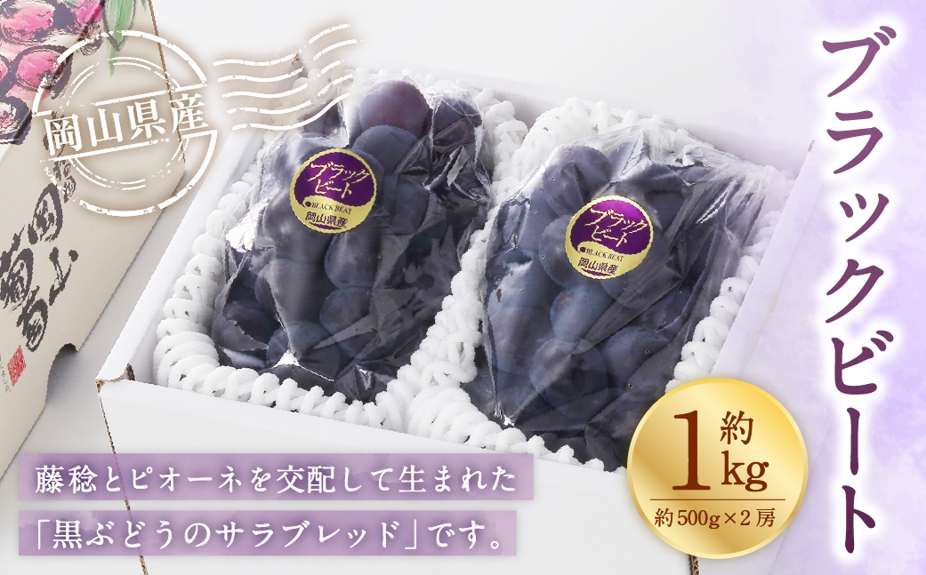 
                  岡山県産 ブラックビート 約1kg （ 約500g×2房 ） ぶどう ブドウ 葡萄 くだもの 果物 果実 フルーツ 国産 黒ぶどう 【 2026年8月上旬～9月上旬発送予定 】
                