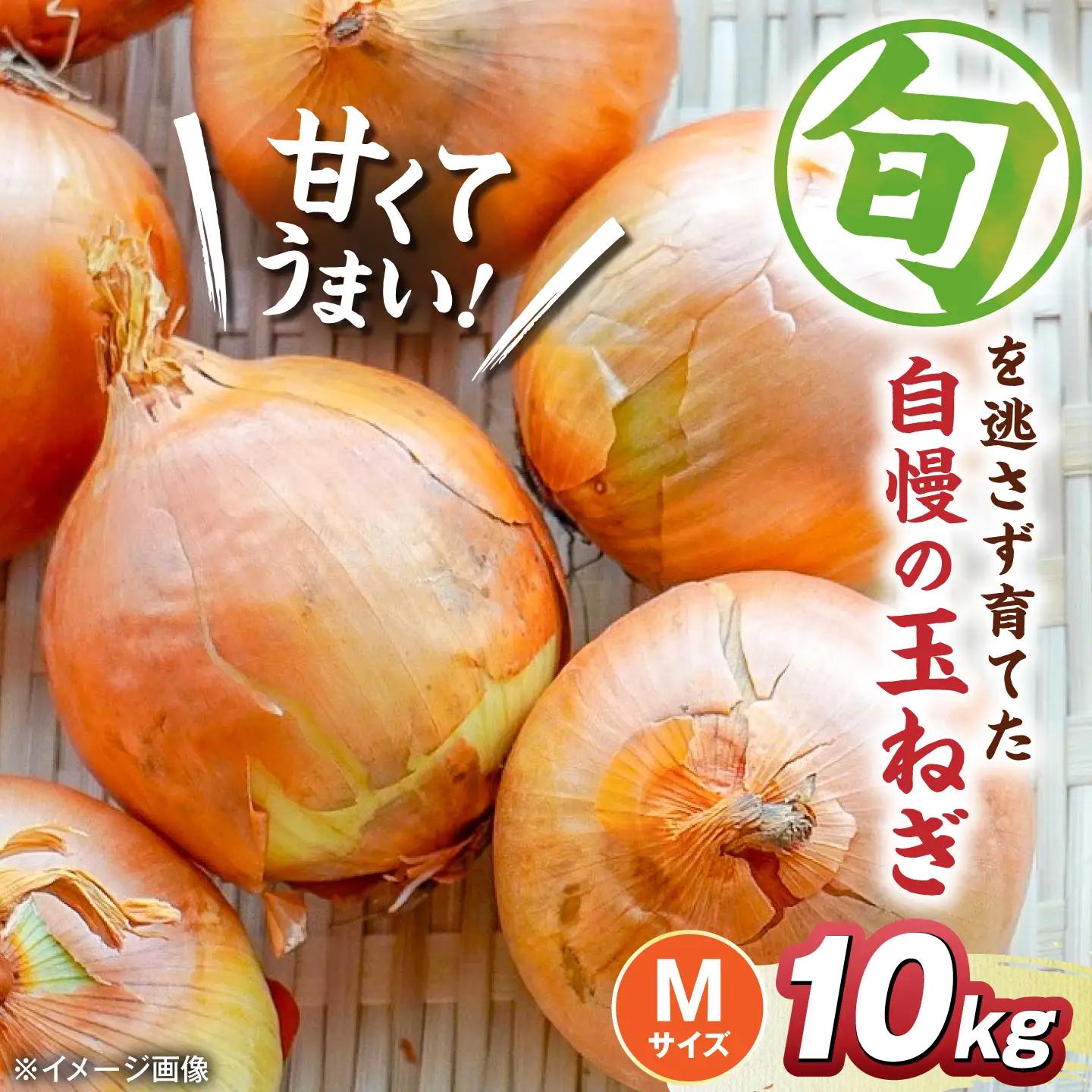 【先行予約】玉ねぎ10kg（Mサイズ）[AQDZ010]玉ねぎ
