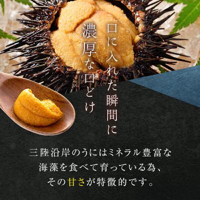 ふるさと納税 山田町 【無添加】三陸山田 生うに 【先行予約】100g×3パック 令和8年5月中旬以降発送 ウニ |  | 01