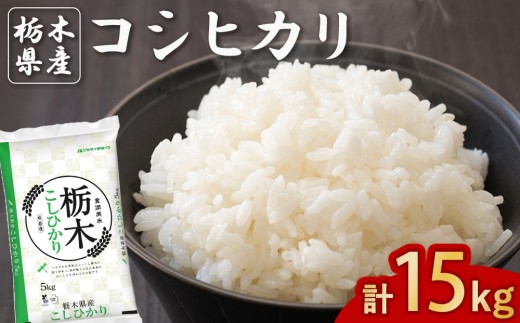 【精米】栃木県産 コシヒカリ 5kg×3袋 合計15kg