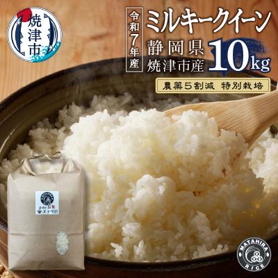 ふるさと納税 焼津市 令和7年産 特別栽培 農薬5割減 ミルキークイーン 白米10kg(5kg×2袋)(a24-076)