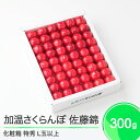 【ふるさと納税】加温 さくらんぼ 佐藤錦 特秀品 L玉 化粧箱入 300g 2025年産 山形県産 送料無料