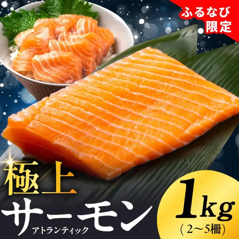 極上サーモン 1kg サーモン ふるなび限定 FN-Limited-PR