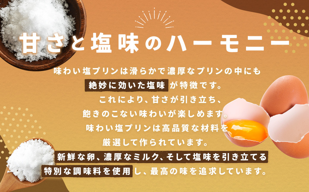 【浜んまちPUDDING】 五島の海のめぐみの味わい塩プリン 80g×12個セット