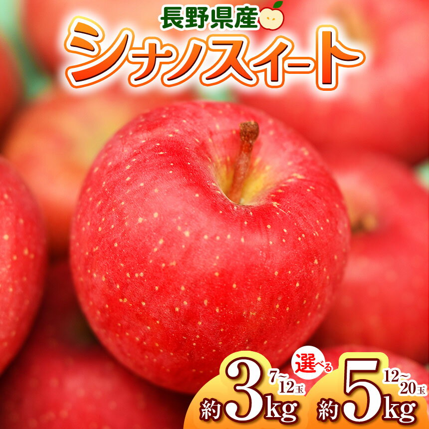 【ふるさと納税】【2025年先行予約】浅野農園 シナノスイート 3kg ・ 5kg｜ リンゴ りんご 林檎 果物 くだもの フルーツ 果実 果汁 シナノスイート 長野県 松川村 信州