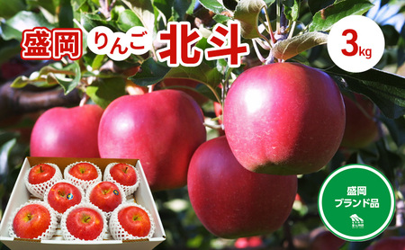 10月末～順次発送【先行予約】朝島りんご生産組合 盛岡りんご りんご 北斗約3kg(7～9個)