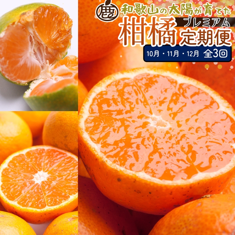 【定期便】厳選 柑橘定期便SS 3回（10～12月）※北海道・沖縄・離島への配送不可※10月・11月・12月に発送