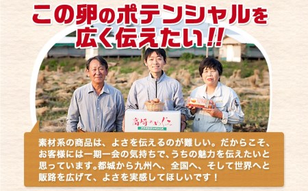 アスタキサンチン入り赤卵「高崎のめぐみ」50個_AA-6801_(都城市) 赤卵(50個 L～Mサイズ) 採れたて 新鮮たまご 卵かけご飯　お菓子作り 玉子料理 美容 健康 アスタキサンチン入り