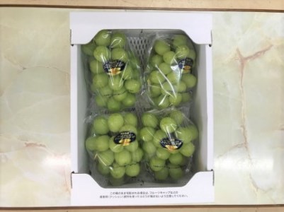 大原観光果樹園 シャインマスカット 約2kg 3～4房 【先行予約 9月下旬から順次発送】