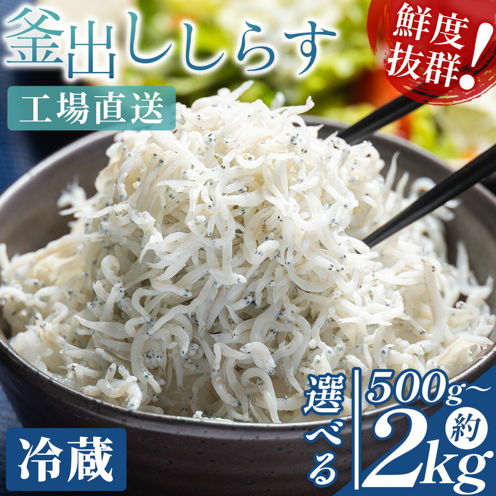 【ふるさと納税】【選べる内容量】釜出ししらす(ちりめん)（選べる内容量：計約500g～約2kg）　- 選べる 数量 国産 ちりめん しらす シラス 稚魚 魚介 魚 海産物 釜茹で ドロメ サラダ 和え物 アレンジ 料理 ご飯のお供 三浦屋海産 高知県 香南市 【冷蔵】