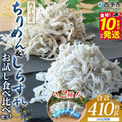 ふるさと納税 西予市 【定期便2ヶ月】<ちりめん&amp;しらす干し お試し食べ比べセット 合計410g >濱田水産 愛媛 魚