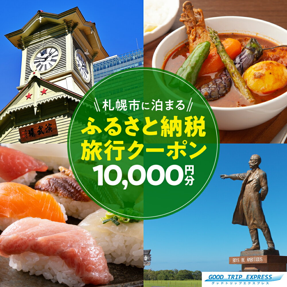【ふるさと納税】 旅行 クーポン 割引券 10,000円分 ツアー 電子クーポン 宿泊 チケット 観光 トラベル 旅 国内 北海道 札幌市