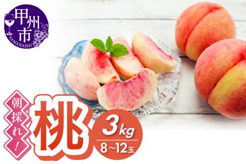 朝採れ！甲州市産 桃 3kg（8～12玉）【2024年発送】（RC）B15-436