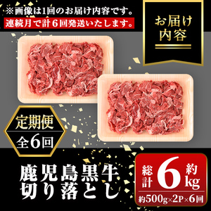 【E01010】＜定期便・全6回・連続月＞鹿児島黒牛 切り落とし(計約6kg・約500g×2P×6回) 鹿児島 国産 九州産 鹿児島県産 黒毛和牛 国産牛 牛肉 切り落し 切落とし 切落し お肉 冷凍