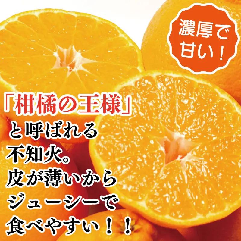 訳あり 不知火 3.8kg 13個入り 不知火 みかん しらぬい