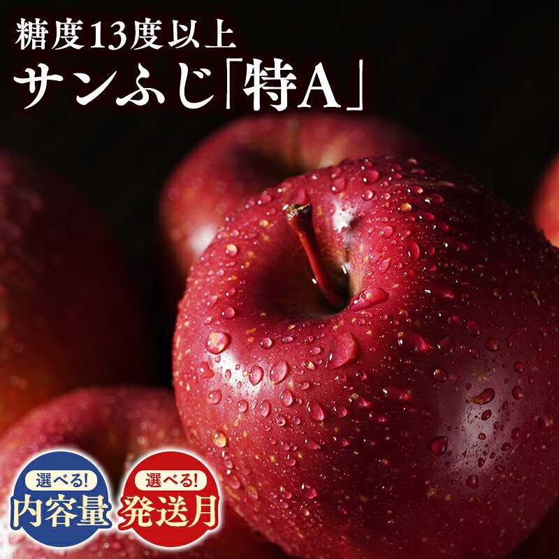 【ふるさと納税】 ≪発送月と内容量が選べる≫ 青森県産 サンふじりんご 「 特A 」規格 約3kg 約5kg 【 青森県 平川市 森山商店 】 11月 12月 1月 2月 3月 4月 糖度 13度以上 青森県産 青森りんご 林檎 リンゴ りんご サンふじ ふじ 特A規格 光センサー 選果