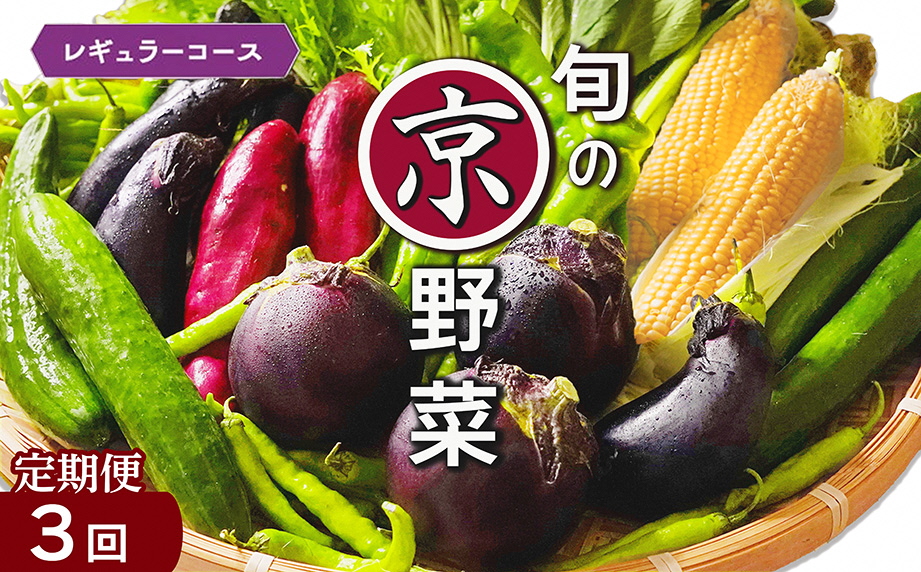 【3回定期便】旬の京野菜　毎月お届けレギュラーコース（全3回）《野菜定期便 野菜詰め合わせ 野菜セット 京野菜 旬の野菜 新鮮野菜》
