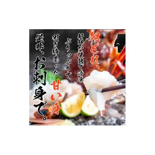 【 からすみ 】 からすみと伊勢海老2匹