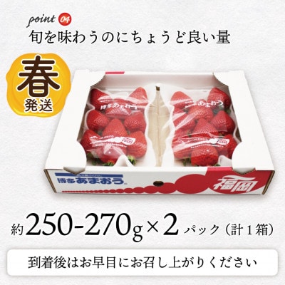 【2027年2月上旬～4月下旬発送予定】博多あまおう(春) 250g-270g×2パック(岡垣町)【配送不可地域：離島】