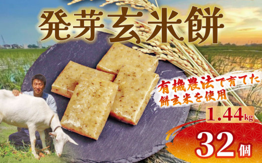 餅 発芽 玄米 32個 1.44kg 12月以降順次配送 個包装 国産 おもち 備蓄 防災 お中元 小分け レンジ オーブン 簡単調理 有機 不耕起栽培 健康 食品 発芽玄米餅 埼玉県 羽生市 雨読晴耕村舎