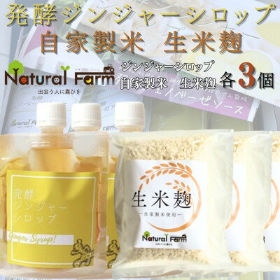 【ふるさと納税】発酵ジンジャーシロップ&生米麹　各3パックセット B4-5【配送不可地域：離島】【1619483】