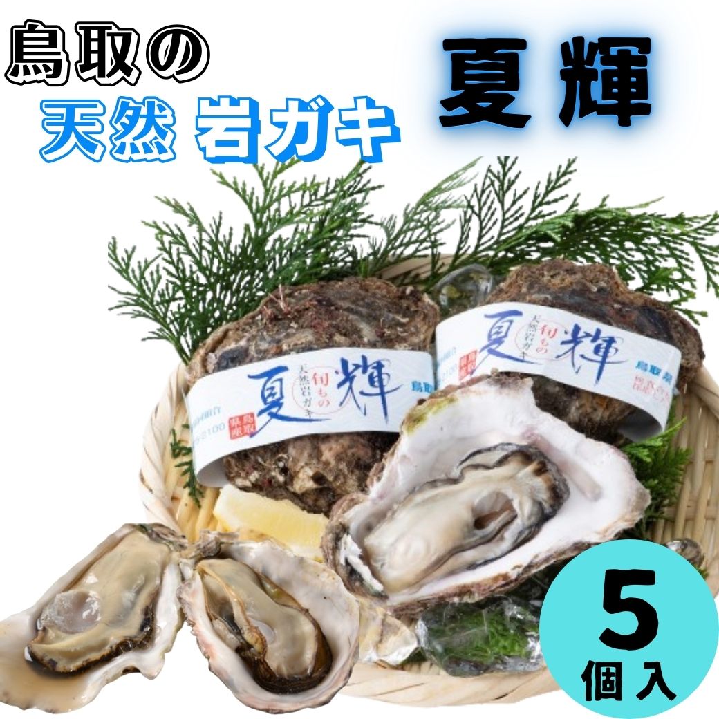 【ふるさと納税】夏輝（岩ガキ）｜鳥取県 岩美町 岩ガキ 岩牡蠣 牡蠣 ブランド牡蠣 新鮮 海鮮 天然 かき セット 冷蔵 旬【21004】