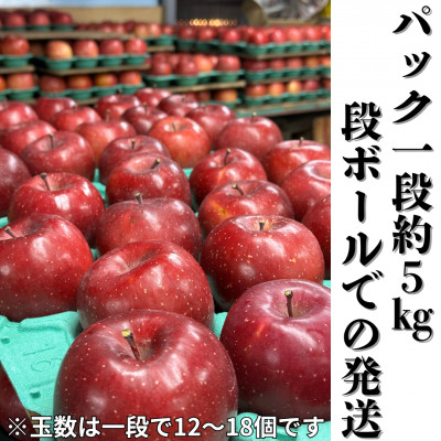 【2025年先行受付】長野直送!信州八ヶ岳のりんごシナノスイート約10kg(24～36玉)蓼科高原【配送不可地域：離島】
