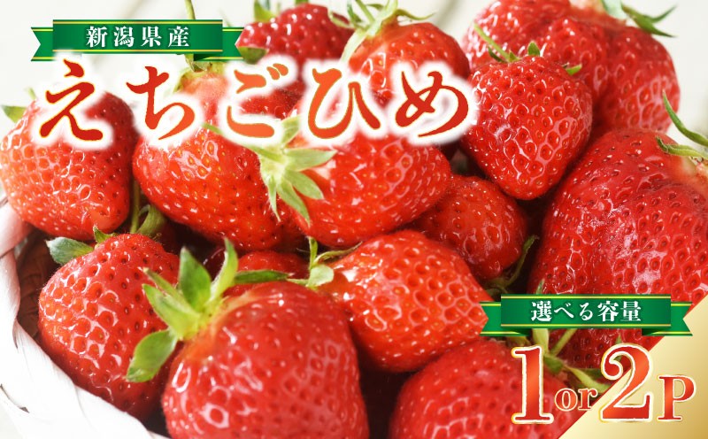 
                  いちご 越後姫 選べる容量 1or2パック 本州限定 季節限定 旬 いちご 苺 くだもの フルーツ イチゴ 果物 スイーツ 越後姫 いちご ブランド 人気 新潟県 新発田市 JA北新潟 C09_01P
                
