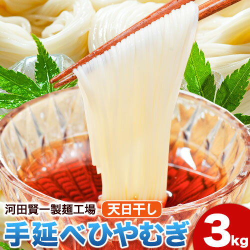 【ふるさと納税】ひやむぎ 天日干し手延べひやむぎ 3kg 河田賢一製麺工場《30日以内に出荷予定(土日祝除く)》岡山県 浅口市 ひやむぎ 麺 3kg 夏 手延べ 送料無料