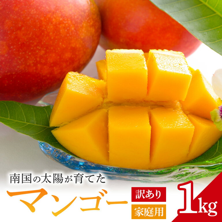 【ふるさと納税】【 先行予約 2026年 発送 】訳あり/家庭用 マンゴー 1kg 沖縄県産 選べる 訳あり 家庭用 完熟マンゴー 1キロ 訳アリ 自宅用 国産 訳ありマンゴー 果物 南国 くだもの フルーツ 完熟 夏 旬 特産品 沖縄 取り寄せ 産地直送 農家直送 甘い 濃厚 糸満市