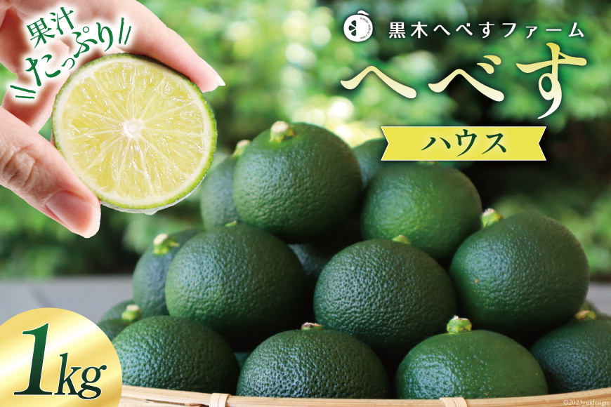 
                  【期間限定発送】 旬を先取り 黒木へべすファーム自慢の《ハウス》へべす 1kg [黒木へべすファーム 宮崎県 日向市 452060741] 柑橘 国産 ヘベス 平兵衛酢 ビタミンC アミノ酸
                