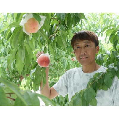 山梨県産桃3kg箱(8〜12玉)【配送不可地域：離島】【1484522】