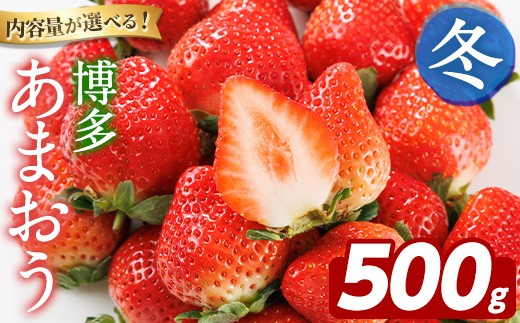 ＜先行予約受付中！2026年12月上旬以降順次発送予定＞博多 あまおう《冬》 (計500g・250g～270g×2パック) いちご イチゴ 苺 ストロベリー 果物 フルーツ おやつ デザート 冷蔵 アマオウ 旬 小分け 【農産物直売所ほたるの里】as52-005