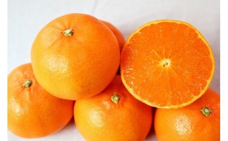 【訳あり・ご家庭用】ジューシー柑橘 せとか 約3kg【先行予約】 せとか みかん ミカン 柑橘 フルーツ 果物 くだもの【2027年2月下旬頃〜3月中旬頃発送予定（お届け日指定不可）】【Z-uot84