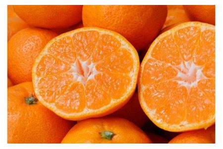 【果汁100%】無添加！贅沢絞りの有田みかんストレートジュース1000ml ×4本セット【nuk122】